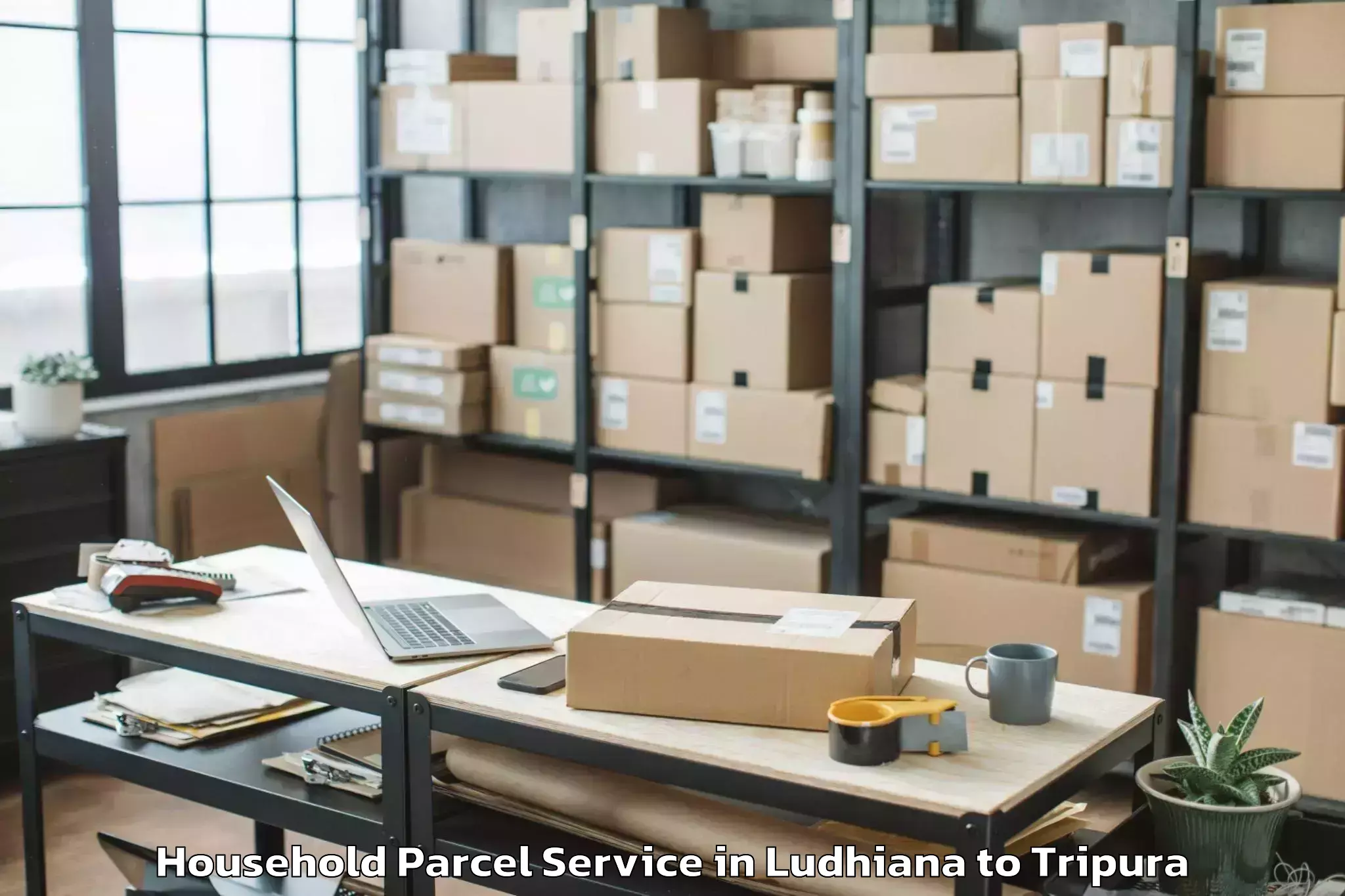 Book Ludhiana to Hezamara Household Parcel